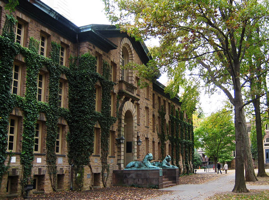 普林斯頓,Princeton